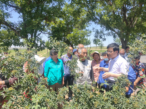 林小宝探花
刘永红副研究员讲解花椒种植技术_副本.jpg