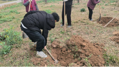 6f8a33fa39c047ef8764ee8c9d20e2c3.png 6f8a33fa39c047ef8764ee8c9d20e2c3.png